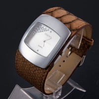 Reloj serpiente , leopardo